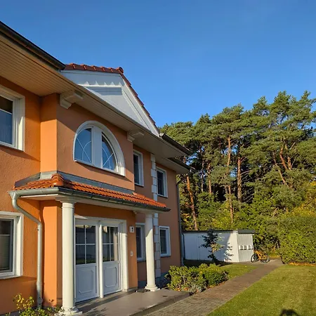 Haus 